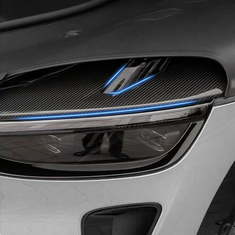 2 Pcs Carbon Fiber Pattern Lam - Car Accessories Xiaomi ulasan dan harga